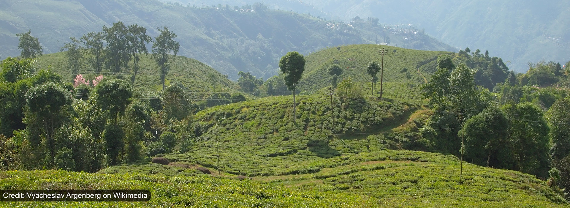 HIMALAYAN VACATION