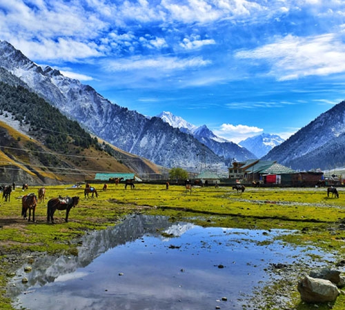 Best of Kashmir Tour 5 Nights 6 Days