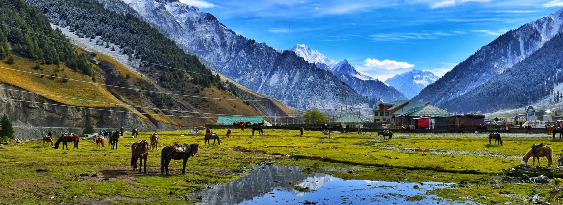 Best of Kashmir Tour 5 Nights 6 Days